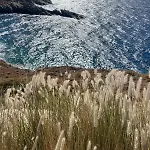 Elli S Seafront Pool Villa, 100 M From Quiet Sandy In Kea, Cyclades فيلة *