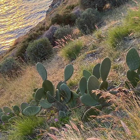 Villa Elli S Seafront Pool Villa, 100 M From Quiet Sandy In Kea, Cyclades