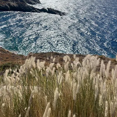 Elli S Seafront Pool Villa, 100 M From Quiet Sandy In Kea, Cyclades 빌라 *